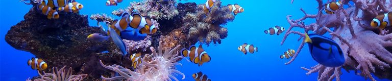 Palma Aquarium on the island of Mallorca