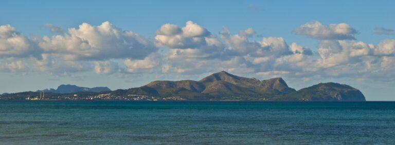 Palma airport Alcudia transfer: how to choose